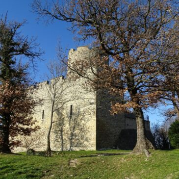 Concert Renaissance au château de Saint-Quentin-Fallavier